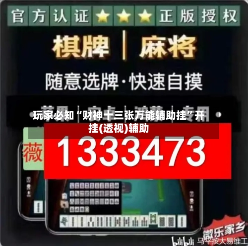玩家必知“财神十三张万能辅助挂	”开挂(透视)辅助-第2张图片