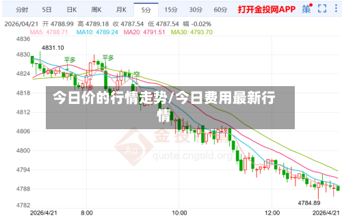今日价的行情走势/今日费用最新行情