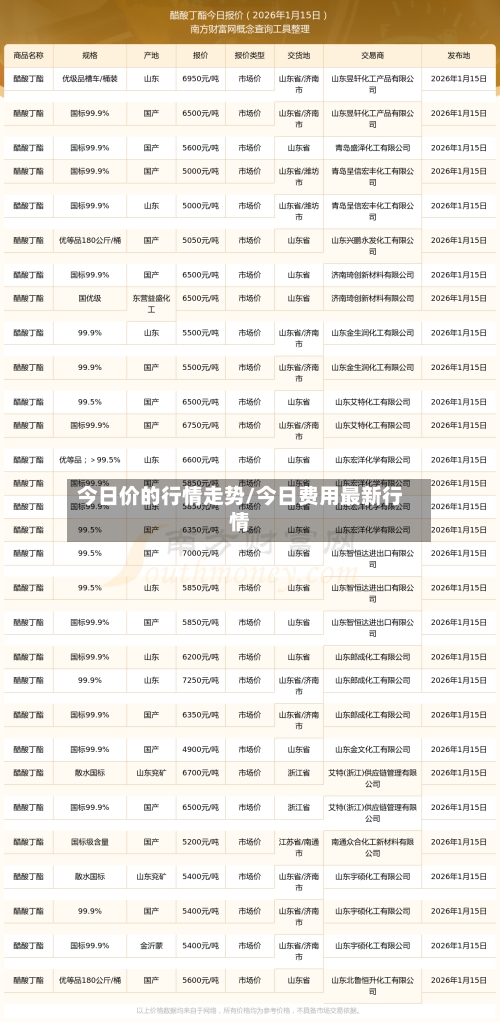 今日价的行情走势/今日费用最新行情-第3张图片