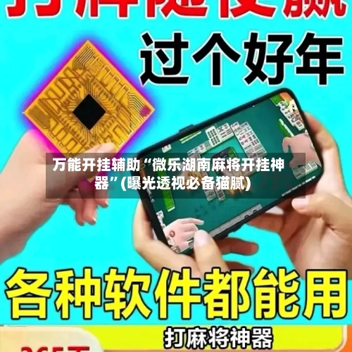 万能开挂辅助“微乐湖南麻将开挂神器”(曝光透视必备猫腻)-第3张图片