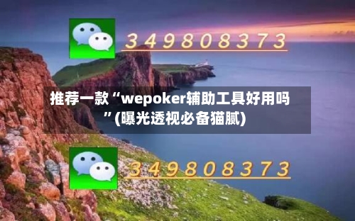 推荐一款“wepoker辅助工具好用吗”(曝光透视必备猫腻)