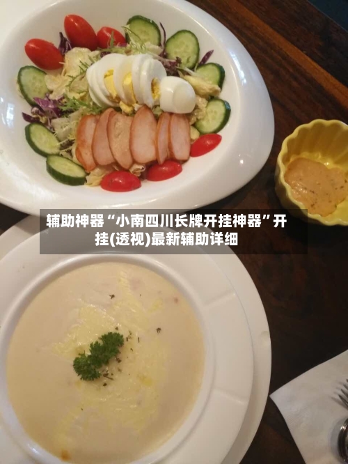 辅助神器“小南四川长牌开挂神器”开挂(透视)最新辅助详细