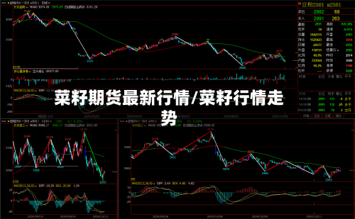 菜籽期货最新行情/菜籽行情走势-第3张图片