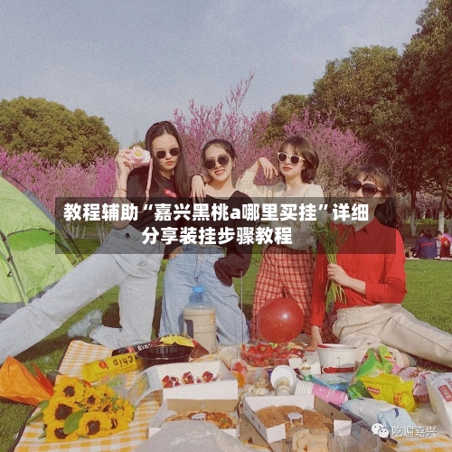 教程辅助“嘉兴黑桃a哪里买挂”详细分享装挂步骤教程