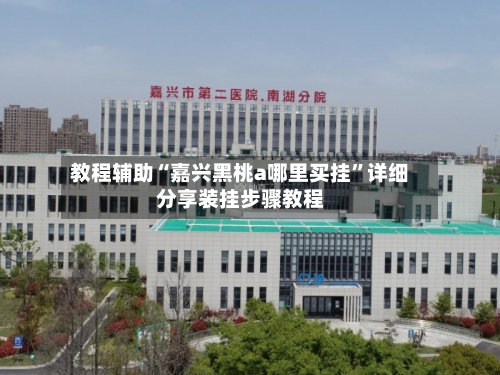 教程辅助“嘉兴黑桃a哪里买挂”详细分享装挂步骤教程-第3张图片