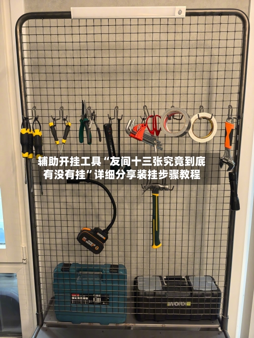 辅助开挂工具“友间十三张究竟到底有没有挂”详细分享装挂步骤教程-第2张图片