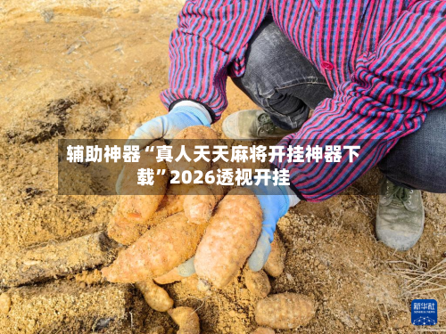 辅助神器“真人天天麻将开挂神器下载”2026透视开挂