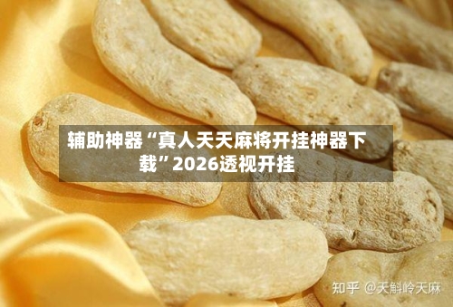 辅助神器“真人天天麻将开挂神器下载”2026透视开挂-第2张图片