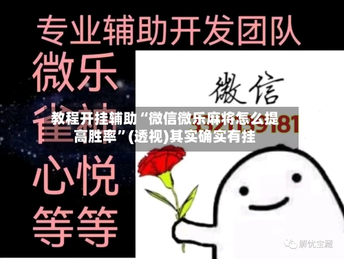 教程开挂辅助“微信微乐麻将怎么提高胜率”(透视)其实确实有挂-第3张图片