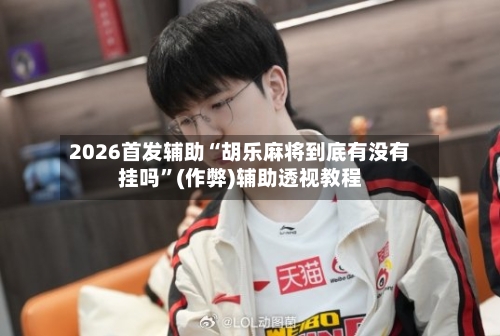 2026首发辅助“胡乐麻将到底有没有挂吗”(作弊)辅助透视教程-第2张图片