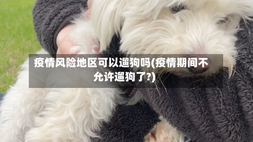疫情风险地区可以遛狗吗(疫情期间不允许遛狗了?)