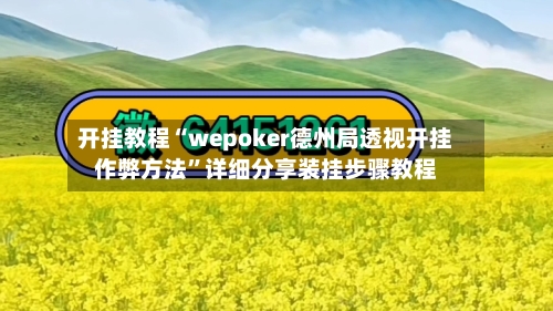 开挂教程“wepoker德州局透视开挂作弊方法”详细分享装挂步骤教程-第2张图片