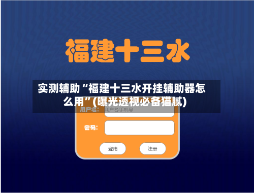 实测辅助“福建十三水开挂辅助器怎么用”(曝光透视必备猫腻)