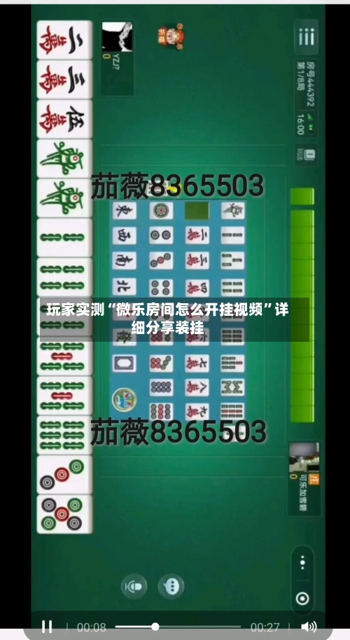 玩家实测“微乐房间怎么开挂视频	”详细分享装挂-第2张图片