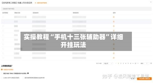 实操教程“手机十三张辅助器	”详细开挂玩法-第2张图片
