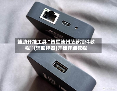 辅助开挂工具“智星德州菠萝插件教程”(辅助神器)开挂详细教程-第3张图片