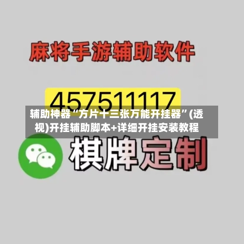 辅助神器“方片十三张万能开挂器	”(透视)开挂辅助脚本+详细开挂安装教程-第2张图片