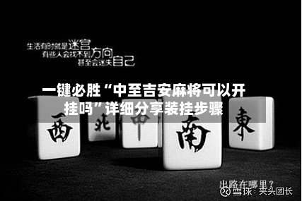 一键必胜“中至吉安麻将可以开挂吗”详细分享装挂步骤-第3张图片