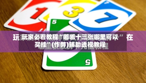 玩家必看教程“嘟嘟十三张哪里可以买挂”(作弊)辅助透视教程-第3张图片