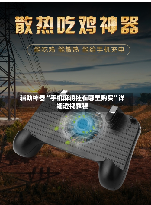 辅助神器“手机麻将挂在哪里购买	”详细透视教程-第2张图片