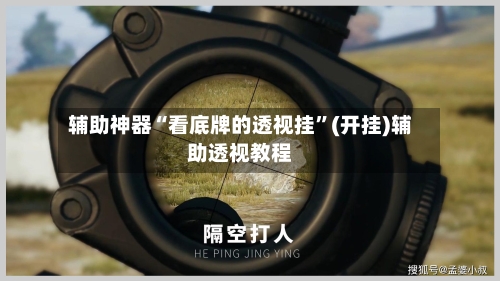 辅助神器“看底牌的透视挂”(开挂)辅助透视教程-第3张图片
