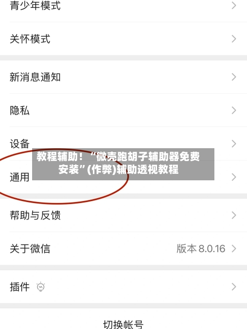 教程辅助！“微壳跑胡子辅助器免费安装”(作弊)辅助透视教程-第3张图片