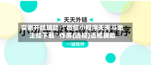实测开挂辅助:“微信小程序天天斗地主挂下载”作弊(透视)透视辅助-第2张图片