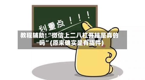 教程辅助!“微信上二八杠开挂是真的吗”(原来确实是有插件)-第3张图片