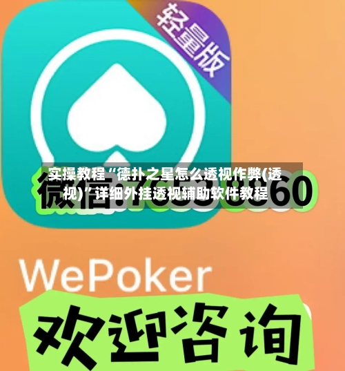 实操教程“德扑之星怎么透视作弊(透视)	”详细外挂透视辅助软件教程-第3张图片