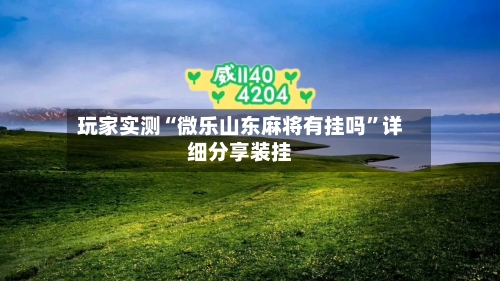 玩家实测“微乐山东麻将有挂吗”详细分享装挂-第2张图片