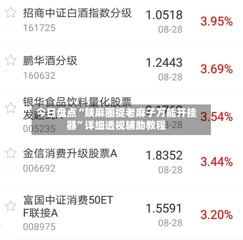 今日盘点“陕麻圈捉老麻子万能开挂器	”详细透视辅助教程-第2张图片