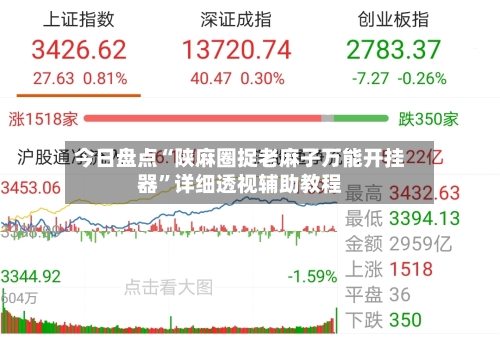 今日盘点“陕麻圈捉老麻子万能开挂器”详细透视辅助教程-第3张图片