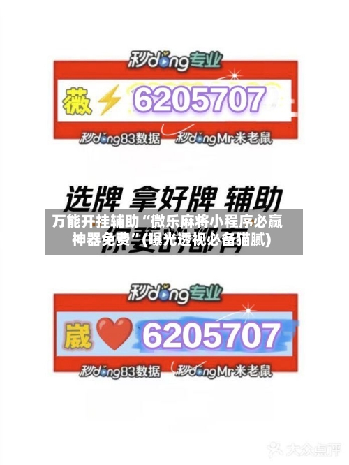 万能开挂辅助“微乐麻将小程序必赢神器免费”(曝光透视必备猫腻)-第3张图片