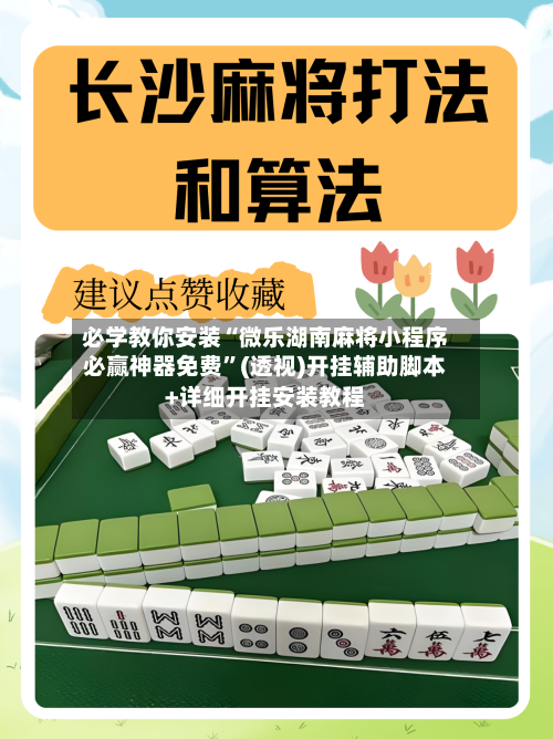必学教你安装“微乐湖南麻将小程序必赢神器免费”(透视)开挂辅助脚本+详细开挂安装教程-第2张图片