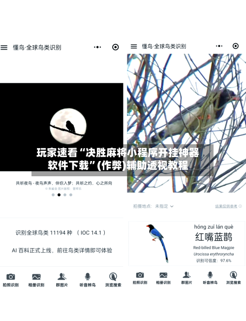 玩家速看“决胜麻将小程序开挂神器软件下载”(作弊)辅助透视教程-第2张图片