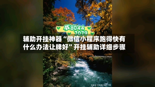 辅助开挂神器“微信小程序跑得快有什么办法让牌好”开挂辅助详细步骤-第2张图片
