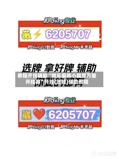 教程开挂辅助“微乐麻将小程序万能开挂器”开挂(透视)辅助教程