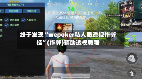 终于发现“wepoker私人局透视作弊挂”(作弊)辅助透视教程-第2张图片