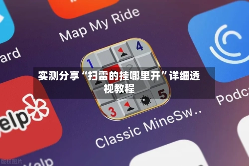 实测分享“扫雷的挂哪里开”详细透视教程-第2张图片