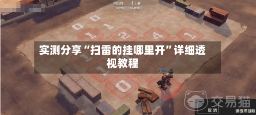 实测分享“扫雷的挂哪里开”详细透视教程