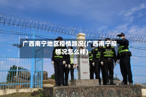 广西南宁地区疫情路况(广西南宁疫情况怎么样)-第3张图片