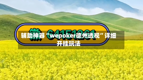 辅助神器“wepoker德州透视	”详细开挂玩法-第3张图片