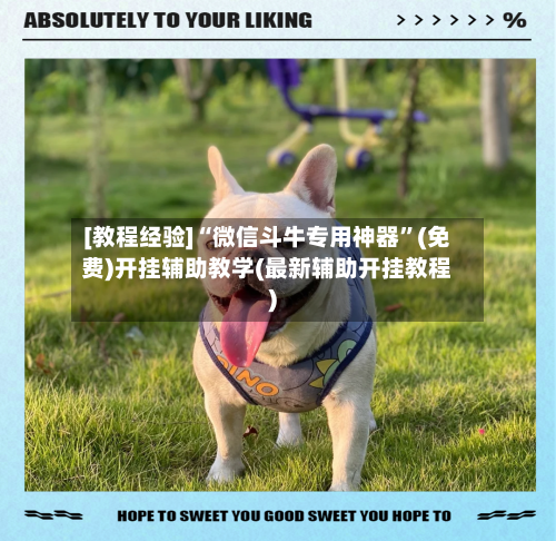 [教程经验]“微信斗牛专用神器”(免费)开挂辅助教学(最新辅助开挂教程)-第3张图片