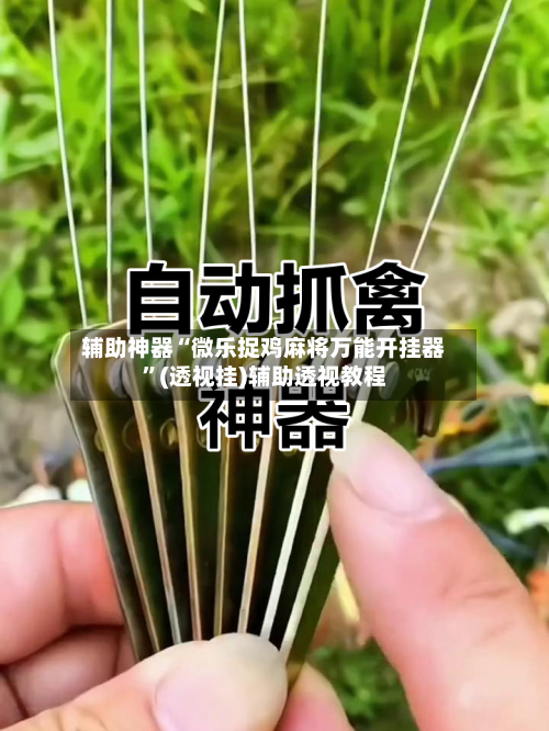 辅助神器“微乐捉鸡麻将万能开挂器”(透视挂)辅助透视教程