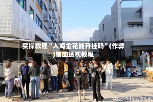 实操教程“人海金花能开挂吗”(作弊)辅助透视教程