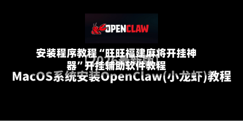 安装程序教程“旺旺福建麻将开挂神器	”开挂辅助软件教程-第2张图片