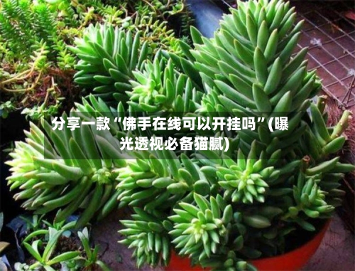 分享一款“佛手在线可以开挂吗	”(曝光透视必备猫腻)-第2张图片