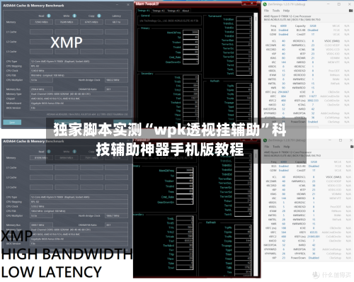 独家脚本实测“wpk透视挂辅助”科技辅助神器手机版教程