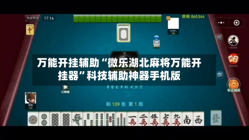 万能开挂辅助“微乐湖北麻将万能开挂器	”科技辅助神器手机版-第2张图片