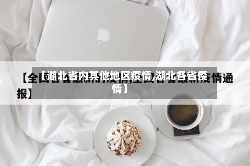 【湖北省内其他地区疫情,湖北各省疫情】-第2张图片